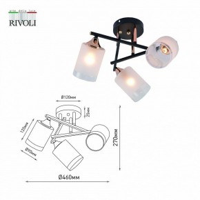 Люстра на штанге Rivoli Fiona Б0059259 в Казани - kazan.mebel24.online | фото