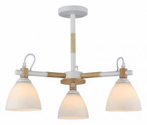 Люстра на штанге Rivoli Louise Б0060982 в Казани - kazan.mebel24.online | фото 2