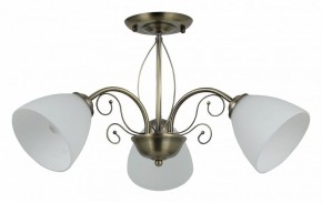 Люстра на штанге Rivoli Sue Б0060985 в Казани - kazan.mebel24.online | фото