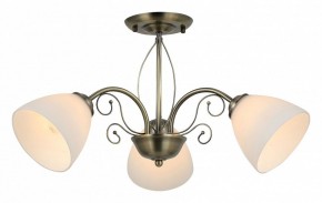 Люстра на штанге Rivoli Sue Б0060985 в Казани - kazan.mebel24.online | фото 2