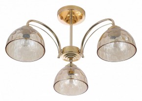 Люстра на штанге Rivoli Terri Б0060988 в Казани - kazan.mebel24.online | фото 2