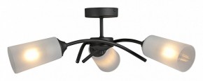 Люстра на штанге Vitaluce V2850 V2850-1/3PL в Казани - kazan.mebel24.online | фото 3