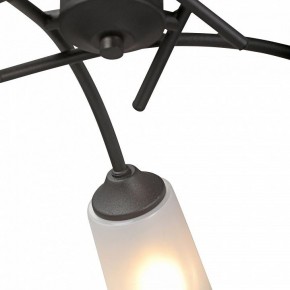 Люстра на штанге Vitaluce V2850 V2850-1/5PL в Казани - kazan.mebel24.online | фото 6