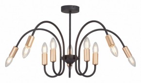 Люстра на штанге Vitaluce V3026 V3026-1/10PL в Казани - kazan.mebel24.online | фото 2