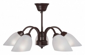 Люстра на штанге Vitaluce V3335 V3335-7/5PL в Казани - kazan.mebel24.online | фото