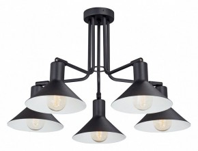 Люстра на штанге Vitaluce V4809 V4809-1/5PL в Казани - kazan.mebel24.online | фото