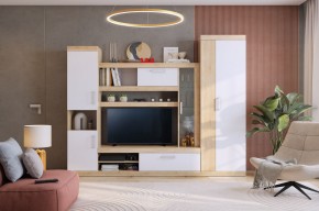 МАКСИ К1 Стенка для гостиной дуб сонома/белое дерево в Казани - kazan.mebel24.online | фото 5