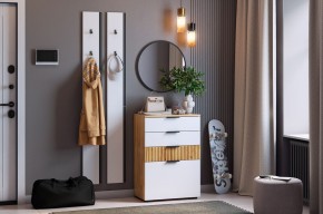 МЕБЕЛЬСОН К21 Прихожая (белое дерево) в Казани - kazan.mebel24.online | фото