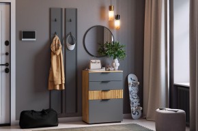 МЕБЕЛЬСОН К21 Прихожая  (графит) в Казани - kazan.mebel24.online | фото