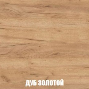 МСП-1 Шкаф 2-х створчатый (Дуб Золотой/Камень темный) в Казани - kazan.mebel24.online | фото 4
