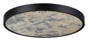 Накладной светильник Odeon Light Bergi 5064/50L в Казани - kazan.mebel24.online | фото 3