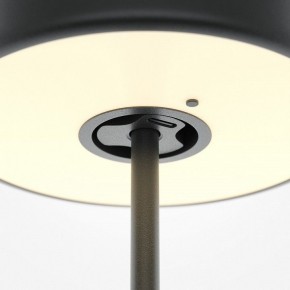 Настольная лампа декоративная Maytoni AI Collaboration MOD229TL-L3B3K2 в Казани - kazan.mebel24.online | фото 5
