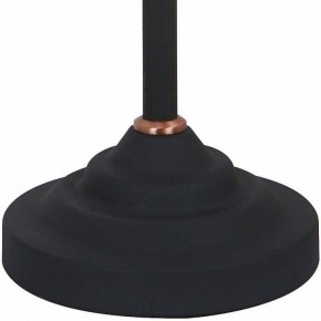 Настольная лампа офисная Arte Lamp Braccio A2054LT-1BK в Казани - kazan.mebel24.online | фото 4