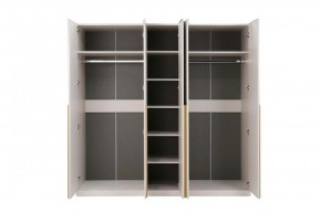 НИКОЛЬ 25 Шкаф 5-ти створчатый в Казани - kazan.mebel24.online | фото 3