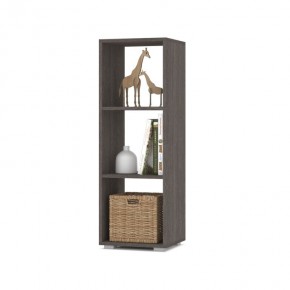 ОЛИВИЯ О53 Стеллаж (анкор темный) в Казани - kazan.mebel24.online | фото