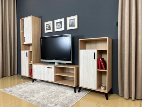 ОСКАР TRIO Гостиная (дуб золотой/сосна белая loft) в Казани - kazan.mebel24.online | фото 3