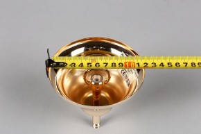 Подвесная люстра Aployt Daniele APL.701.03.12 в Казани - kazan.mebel24.online | фото 6