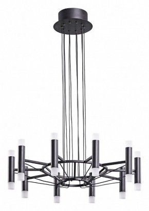 Подвесная люстра Arte Lamp Empire A2482SP-20BK в Казани - kazan.mebel24.online | фото 2