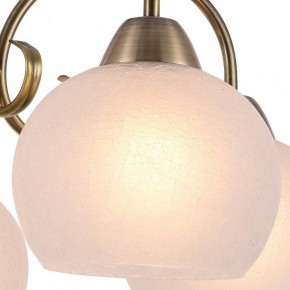 Подвесная люстра Arte Lamp Margo A9317LM-5AB в Казани - kazan.mebel24.online | фото 2