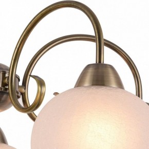 Подвесная люстра Arte Lamp Margo A9317LM-5AB в Казани - kazan.mebel24.online | фото 3