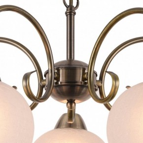 Подвесная люстра Arte Lamp Margo A9317LM-5AB в Казани - kazan.mebel24.online | фото 4