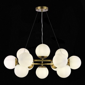 Подвесная люстра EVOLUCE Fratta SLE1191-203-12 в Казани - kazan.mebel24.online | фото 4