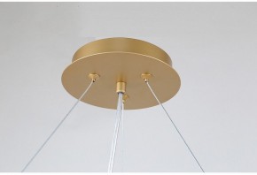 Подвесная люстра Favourite Ginkoa 4080-10P в Казани - kazan.mebel24.online | фото 9