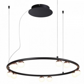 Подвесная люстра Favourite Knopp 4320-10P в Казани - kazan.mebel24.online | фото 2