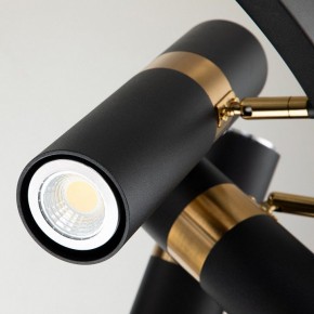 Подвесная люстра Favourite Light point 2997-9P в Казани - kazan.mebel24.online | фото 5