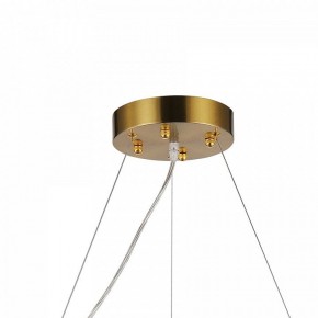 Подвесная люстра Favourite Magnitudo 2206-12P в Казани - kazan.mebel24.online | фото 7