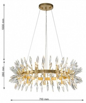 Подвесная люстра Favourite Rays 4058-14P в Казани - kazan.mebel24.online | фото 7