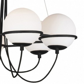 Подвесная люстра Lightstar Globo 803267 в Казани - kazan.mebel24.online | фото 5