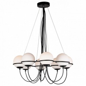 Подвесная люстра Lightstar Globo 803287 в Казани - kazan.mebel24.online | фото 2