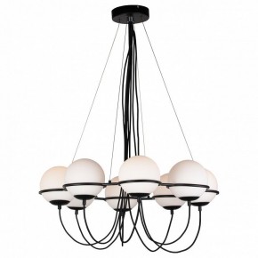 Подвесная люстра Lightstar Globo 803287 в Казани - kazan.mebel24.online | фото 3
