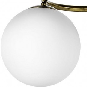 Подвесная люстра Lightstar Globo 815091 в Казани - kazan.mebel24.online | фото 3