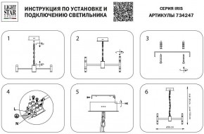 Подвесная люстра Lightstar Iris 734247 в Казани - kazan.mebel24.online | фото 4