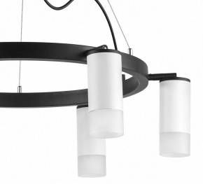 Подвесная люстра Lightstar Rullo LR0163661 в Казани - kazan.mebel24.online | фото 5
