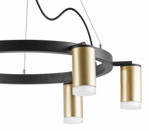 Подвесная люстра Lightstar Rullo LR0164060 в Казани - kazan.mebel24.online | фото 5