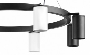 Подвесная люстра Lightstar Rullo LR018364374 в Казани - kazan.mebel24.online | фото 5