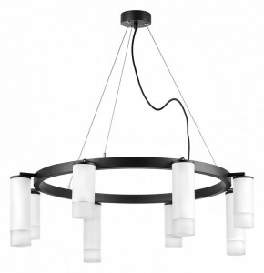 Подвесная люстра Lightstar Rullo LR0183648641 в Казани - kazan.mebel24.online | фото 2