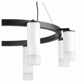 Подвесная люстра Lightstar Rullo LR0188643641 в Казани - kazan.mebel24.online | фото 5