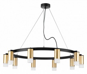 Подвесная люстра Lightstar Rullo LR0204001 в Казани - kazan.mebel24.online | фото 2
