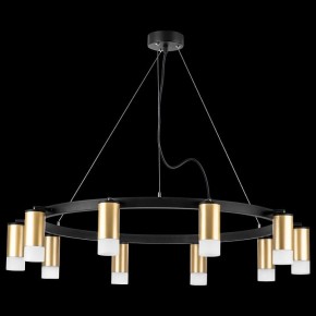 Подвесная люстра Lightstar Rullo LR0204001 в Казани - kazan.mebel24.online | фото 3