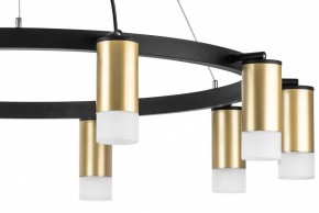 Подвесная люстра Lightstar Rullo LR0204001 в Казани - kazan.mebel24.online | фото 5