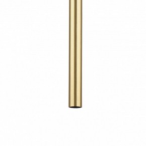 Подвесная люстра Lightstar Tubo L3T747443 в Казани - kazan.mebel24.online | фото 5