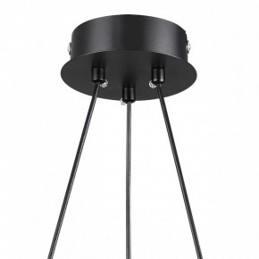 Подвесная люстра Lumion Lamina 8233/6 в Казани - kazan.mebel24.online | фото 8