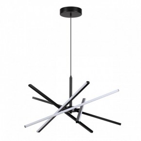 Подвесная люстра Lumion Parker 6563/60L в Казани - kazan.mebel24.online | фото 2