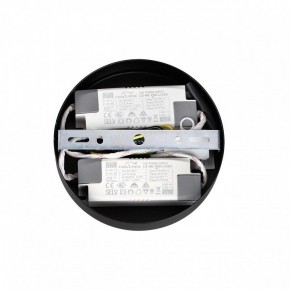 Подвесная люстра Lumion Parker 6563/60L в Казани - kazan.mebel24.online | фото 6