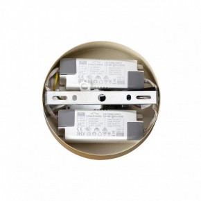 Подвесная люстра Lumion Parker 6564/60L в Казани - kazan.mebel24.online | фото 6