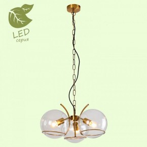 Подвесная люстра Lussole Anchorage GRLSP-9556 в Казани - kazan.mebel24.online | фото 3